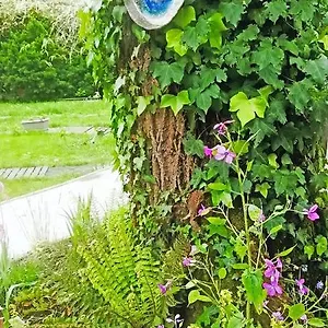 Séjour chez l'habitant Mirguet Au Jardin, Saint-Elix-le-Chateau